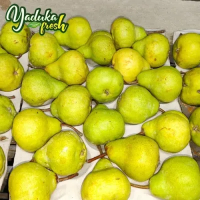 fresh-imported-pears-500x500