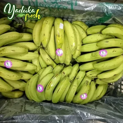 fresh-yellow-ripe-banana-500x500 (2)
