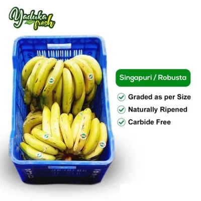 fresh-yellow-ripe-banana-500x500