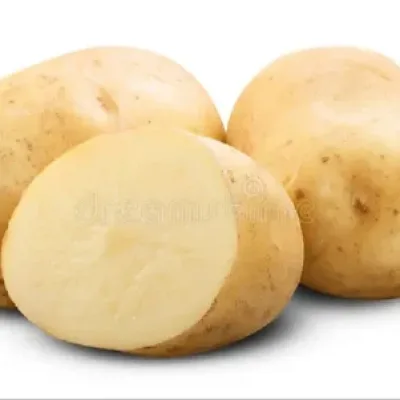 goldy-long-potato-french-fry-grade-500x500 (1)