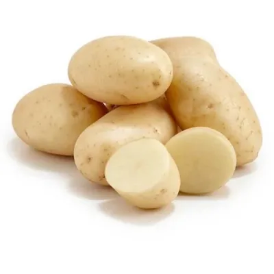 goldy-long-potato-french-fry-grade-500x500 (2)